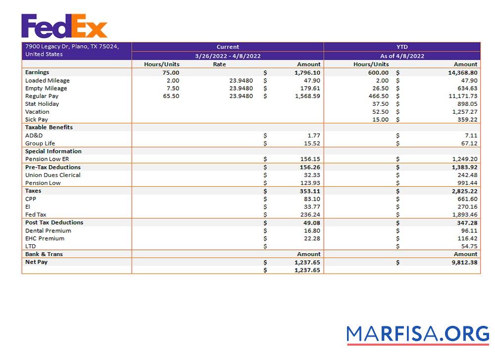Printable USA Fedex transportation company pay stub example